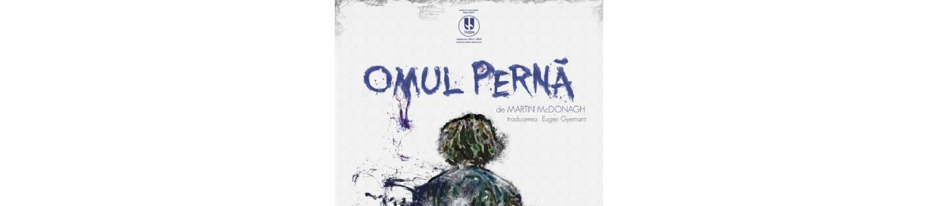Omul perna - de Martin McDonagh (Teatrul Municipal Baia Mare)