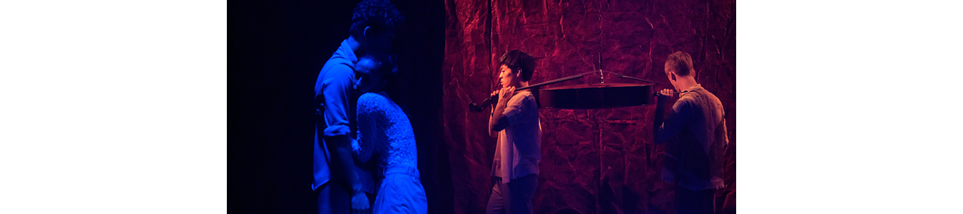 Violoncelul @TNRS - Scena Digitala