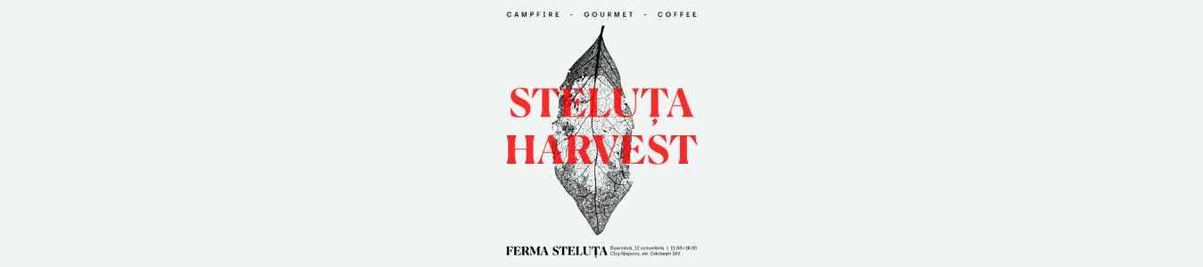 Steluta Harvest