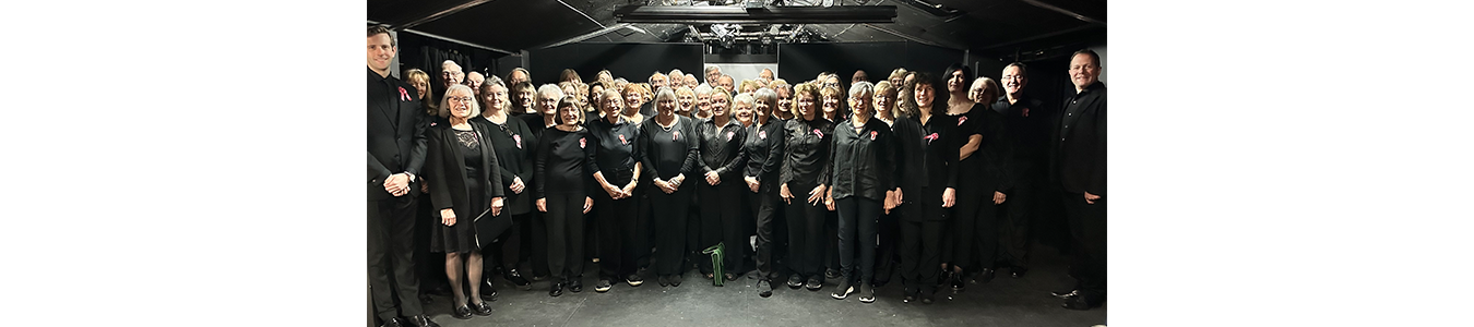 Flamenco fusion @TNRS - Scena Digitala