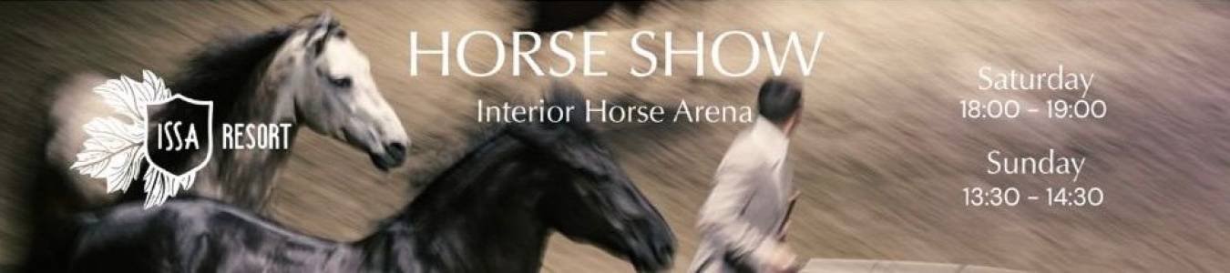 REMEMORABLE HORSE SHOW - Spectacular Indoor Experience