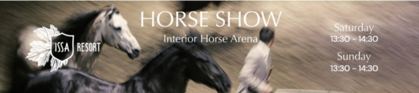 REMEMORABLE HORSE SHOW - Spectacular Indoor Experience
