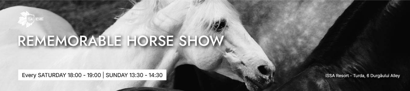REMEMORABLE HORSE SHOW - Spectacular Indoor Experience