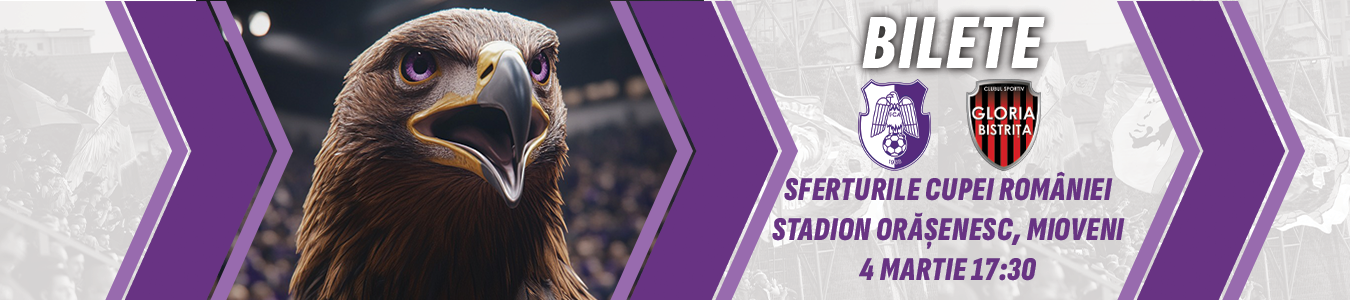 FC ARGES - CS GLORIA BISTRITA