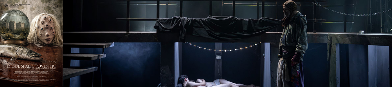 DIGUL SI ALTE POVESTIRI 