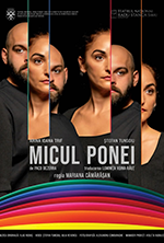 Micul ponei