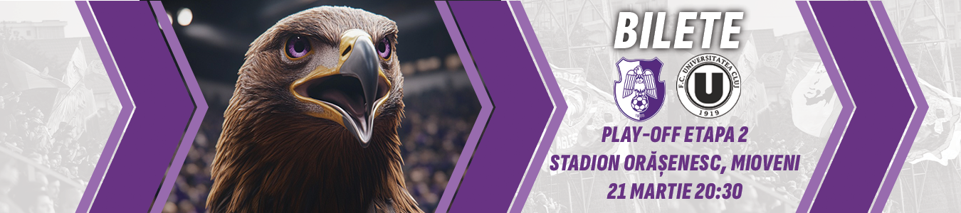 PLAY-OFF: FC ARGES - U CLUJ