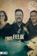 Melodii nordice si pasiune germana – Triouri romantice cu pian 