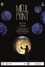 MICUL PRINT