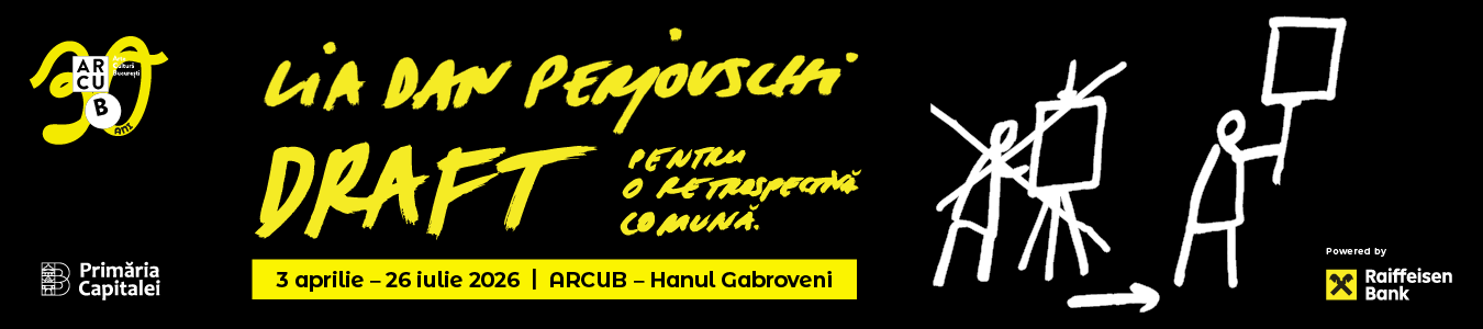 LIA ȘI DAN PERJOVSCHI. DRAFT PENTRU O RETROSPECTIVĂ COMUNĂ