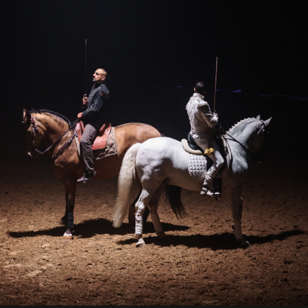 Spirit of the horse @ Sports Festival