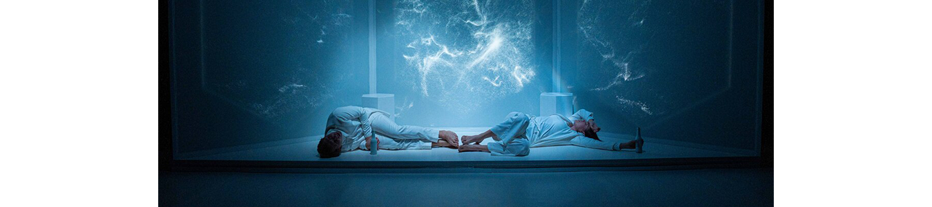 CONSTELAȚII / CONSTELLATIONS