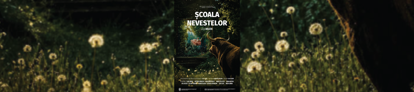 AVANPREMIERĂ Școala nevestelor