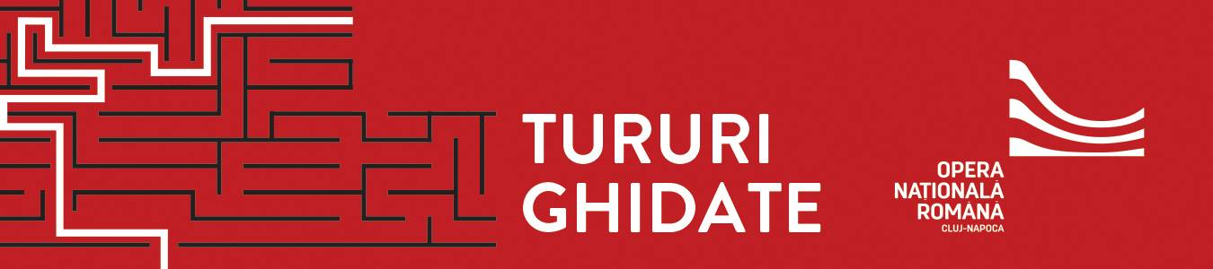 Tururi ghidate Opera Națională Română Cluj-Napoca