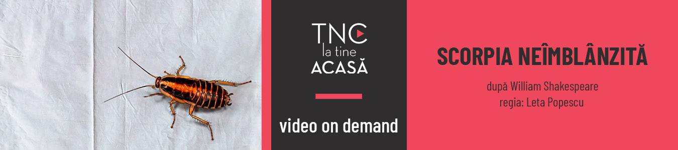 Scorpia neîmblânzită - Video on demand