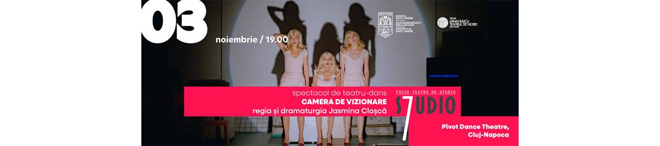 CAMERA DE VIZIONARE